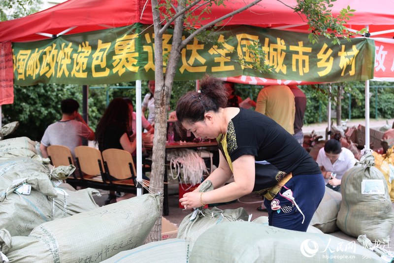 哈尔滨的普通高中最低要多少分才能被录取,我