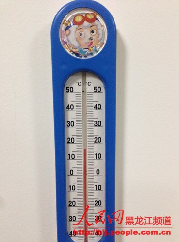 LOCAL201311290837000292802213101.jpg