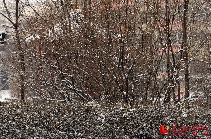 哈尔滨市再迎降雪天气 部分区域未来12小时降