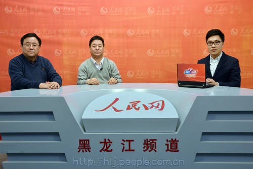 收入证明_黑龙江农民收入(3)