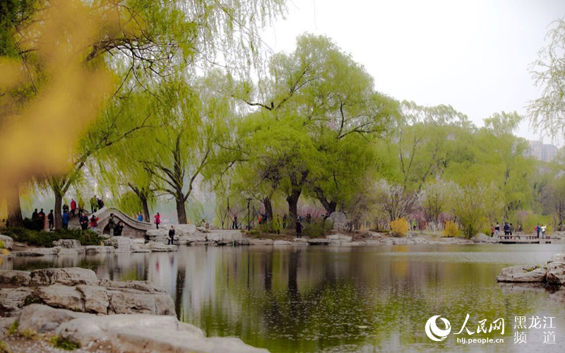 图说:北京玉渊潭公园