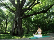 ������Ѷ