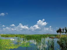 呼兰河口湿地保护区