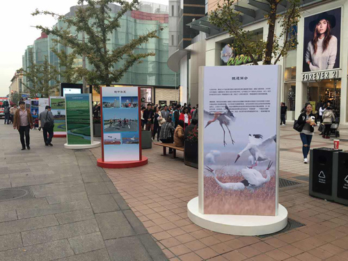 抚远摄影作品入选2015年北京国际摄影周大型展览(图1)