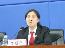 黑龙江省高法民三庭庭长才桂平