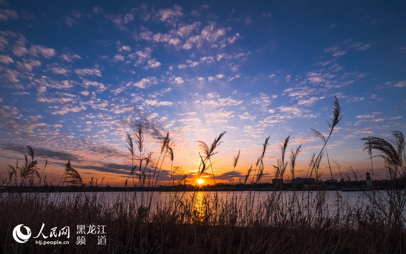 初夏,到阿勒锦岛看夕阳--黑龙江频道--人民网