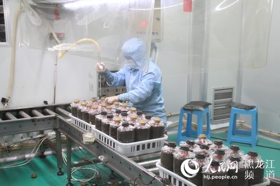 肇东gdp_肇东是全省第二强县 其GDP总量达到402亿 黑龙江