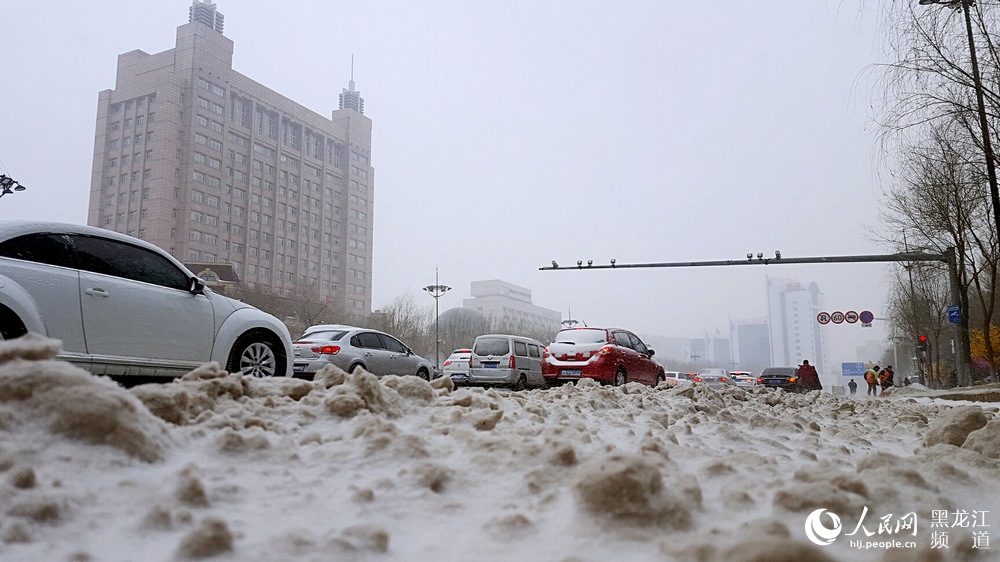 哈尔滨迎来大风降雪天气 春节期间还有两场小