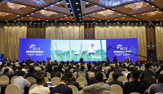 首屆中國（哈爾濱）國際稻米論壇啟幕