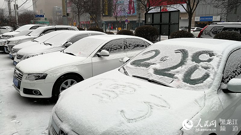 2月最后一天，哈尔滨下雪了。焦洋 摄
