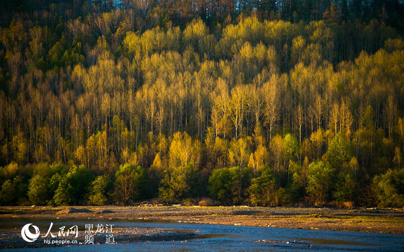 圖說龍江：大興安嶺塔河渡口風光