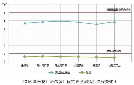 现场直击：哈尔滨惊现黑臭水直排松花江