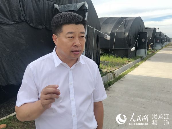 桦南县委书记鲁长友:加快推动产业振兴 实现农业强农村美农民富