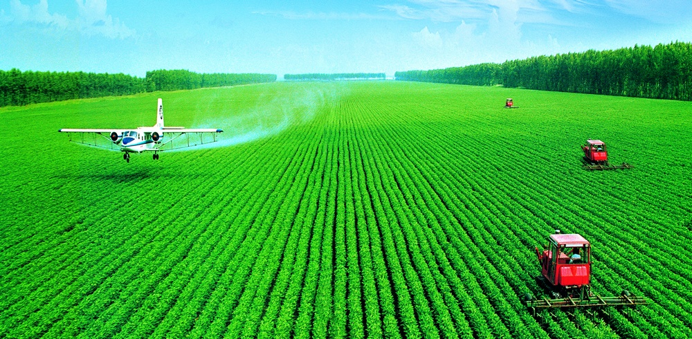 耕地富集、土壤肥沃、水質優良、氣候寒冷、無農殘污染、農產品功能性突出，是黑河發展綠色農業的最大優勢