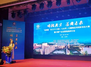 中國石墨烯產業技術創新戰略聯盟副秘書長李萍做總結