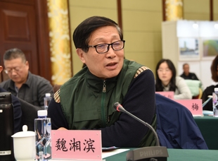 全國綠色農業產業專項基金管理委員會秘書長魏湘濱發言
