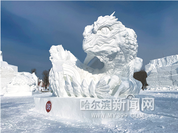 哈尔滨商业大学2020_第二届“商大英才看龙江”青年论坛在哈商大举行(2)