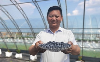 孫吳鎮現代藍莓產業園趙軍自主研發栽培技術