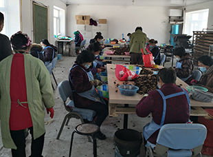 ���к�����ʡ����פ������������������Դ���ƶ������֧�ָ�Դ������ʼӹ�����������