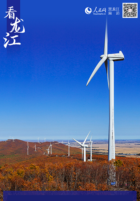 【看龍江】2020年黑龍江清潔能源利用率99.64% 創歷史新高