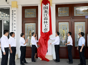 2018年6月30日，中國龍江森林工業集團有限公司挂牌儀式。