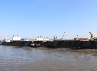 2020年10月，省航运集团所属同江龙航港务有限公司保障对俄水运物流通道畅通，图为4艘满载俄煤的千吨驳抵港待卸。