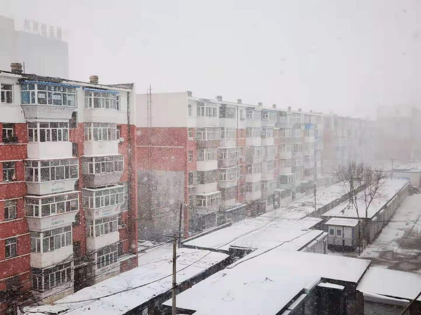 黑龍江省部分地區四月出現降雪天氣 城市秒換“冬裝”