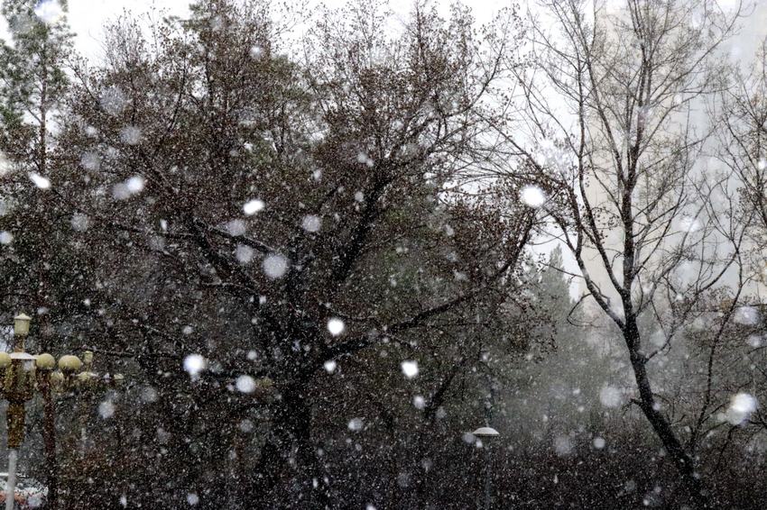 齊齊哈爾市區雪景。李鐵瑞 攝
