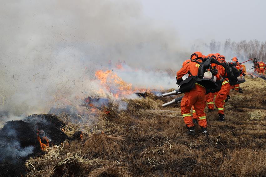 ������ɭ������֧�ӿ�չ������2021�����������7��