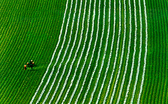 三江平原上，農戶正在耕耘。