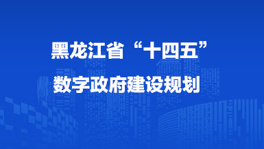 黑龍江省“十四五”數字政府建設規劃