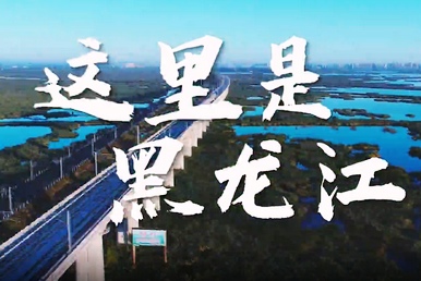 这里是黑龙江