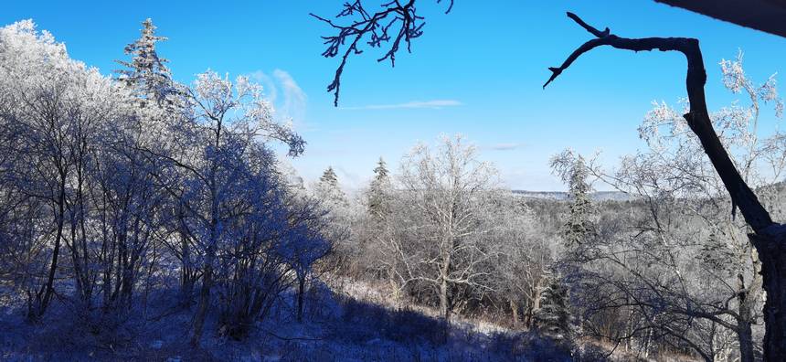 五花山披银装 黑龙江凤凰山迎初雪