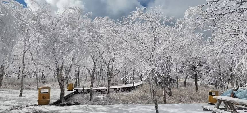 五花山披银装 黑龙江凤凰山迎初雪