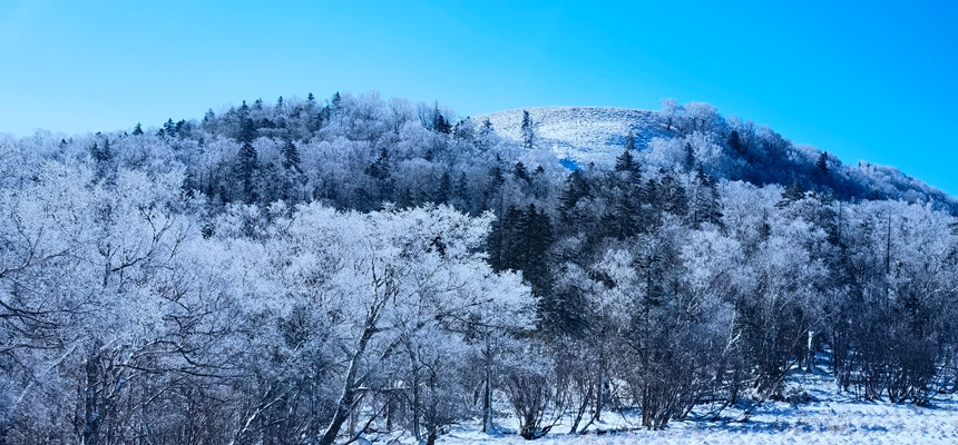 黑龙江亚雪公路迎入秋最大降雪 冰雪画廊一步一景