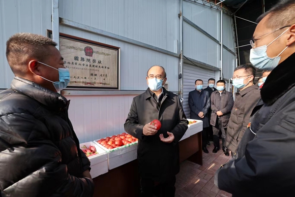 許勤向雞西市雞冠區西郊鄉村民宣講黨的二十大精神，察看大棚蔬菜種植情況。
