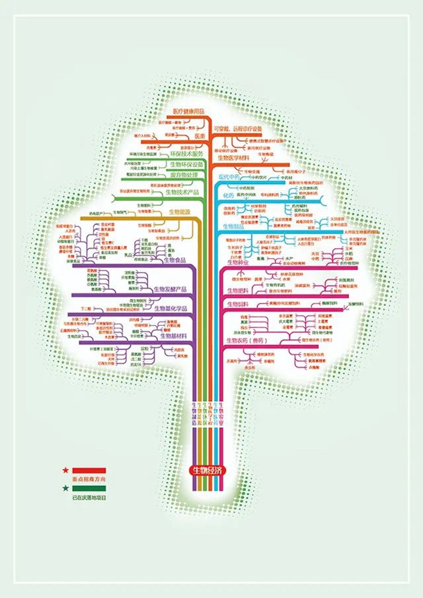 生物经济“产业树”示意图（图片由受访单位提供）