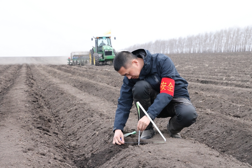 北大荒集团建设农场第四管理区农业技术人员在对机车作业质量进行检查验收。许颖献摄