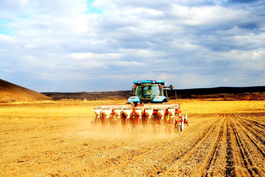 北大荒集团八五一一农场有限公司各管理区开展大田播种和青贮玉米播种工作。崔伦震摄