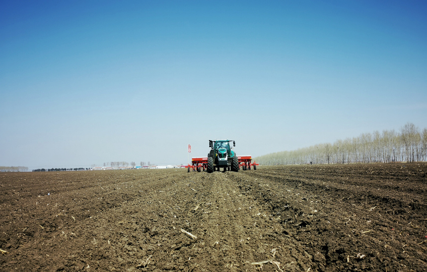 绥化市北林区155万亩玉米进入了播种期。邰子卉摄