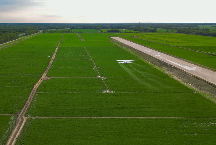 北大荒农业股份江滨分公司全面开展飞机航化作业，确保作物稳产高效。