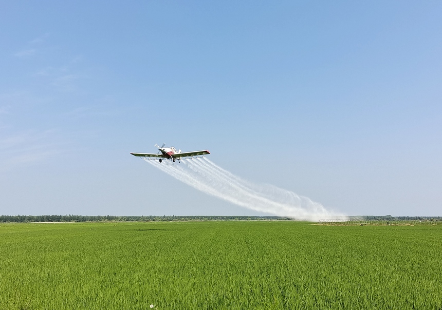 北大荒集团洪河农场开启航化作业，为水稻“健身防病”。丘振新摄
