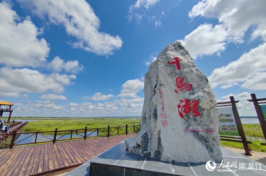 黑龙江千鸟湖：优质生态成就“鸟类天堂”