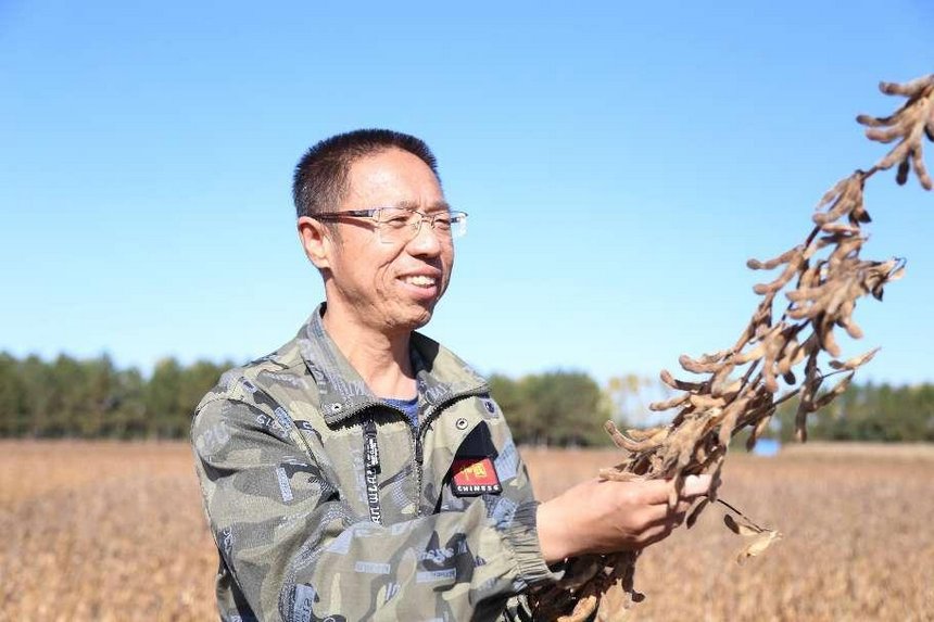 金秋十月，红五月农场有限公司大豆喜获丰收，种植户在收获现场查看作物质量。李杭摄