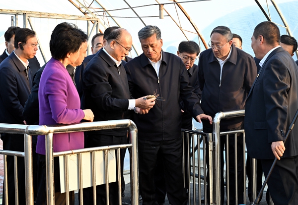 黑龙江省党政代表团在第十师183团龙疆设施农业园区察看水产养殖项目