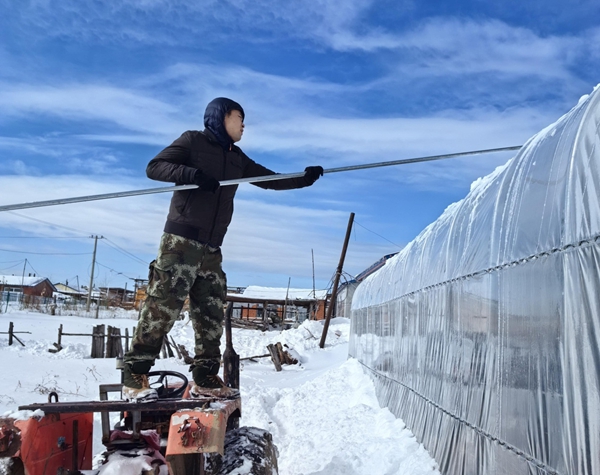 建设银行黑龙江省分行驻村工作队帮助村民清理阳光棚上积雪