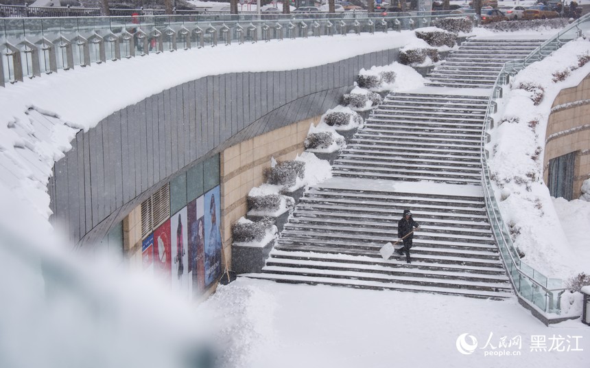 11月22日，哈尔滨市出现降雪天气。人民网记者 苏靖刚摄