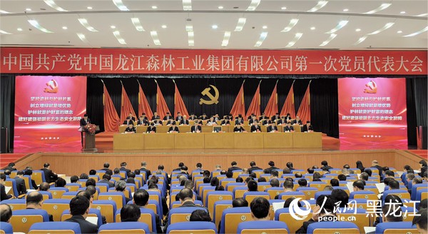 中国龙江森林工业集团有限公司第一次党员代表大会现场。人民网 尚城摄