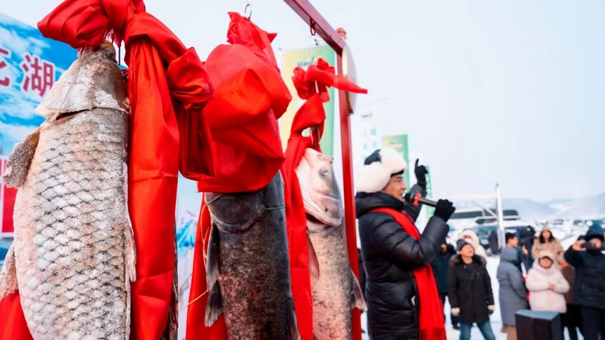 黑龍江海林蓮花湖第二屆冷水魚冬捕節現場。