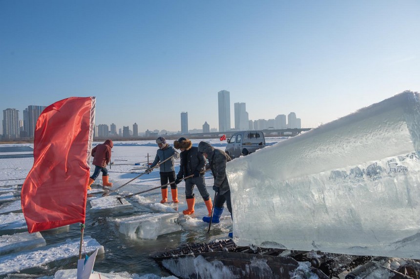 哈尔滨冰雪大世界启动存冰工作